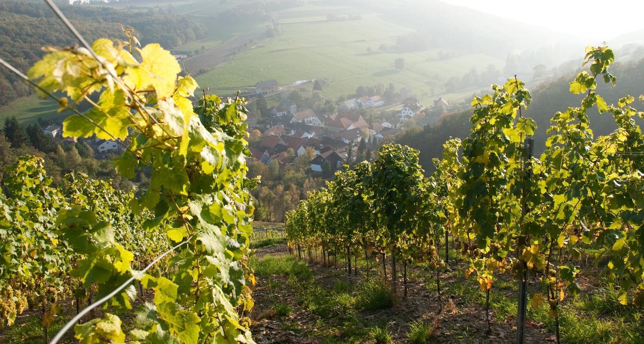 Weingut Hees - Landgasthof Zum Jaeger Aus Kurpfalz Auen Exteriör bild