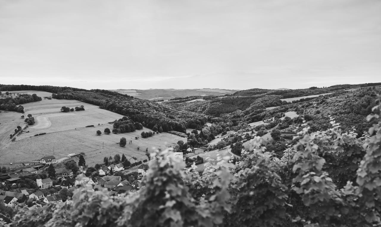Weingut Hees - Landgasthof Zum Jaeger Aus Kurpfalz Auen Exteriör bild